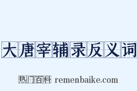 大唐宰辅录反义词是什么意思的图片
